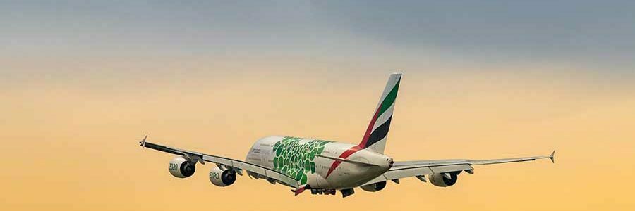 Die besten Flugsuchmaschinen