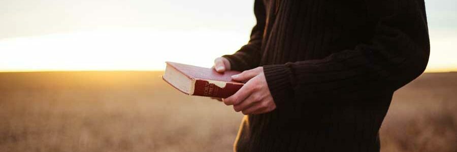 Biografie: Der Bronzerücken - eine biografisch-philosophische Reise